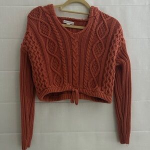 Aeropostale Rust V-Neck Sweater